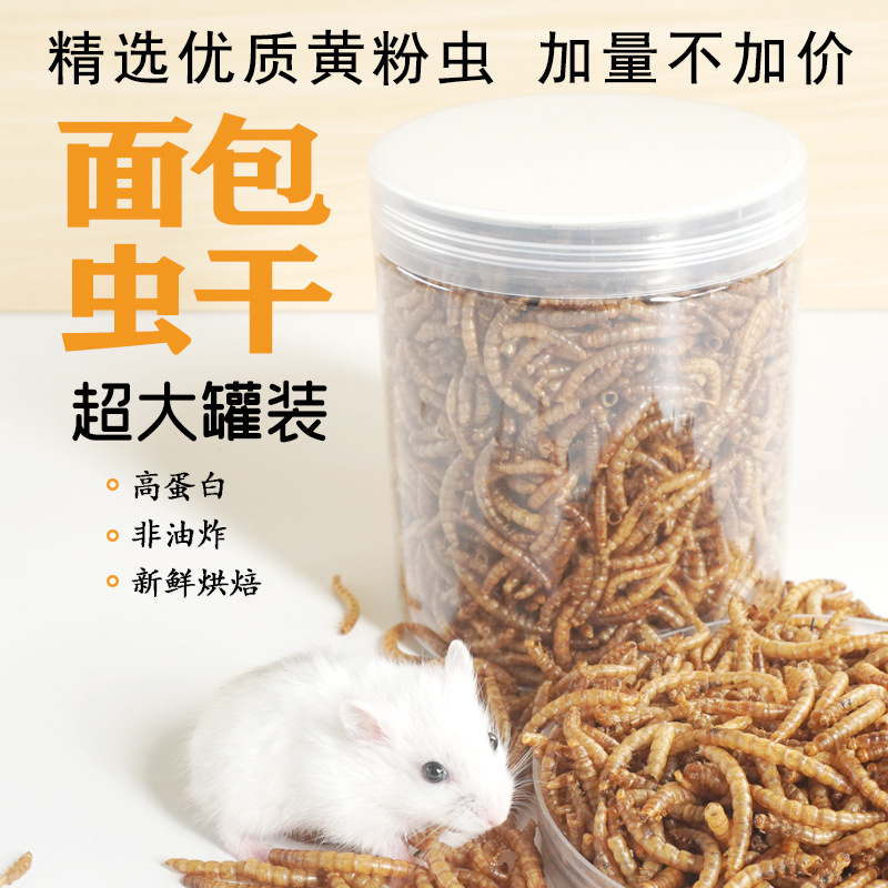 High-Protein Snacks Hamster Fo - Food And Snacks High In Protein recension och pris