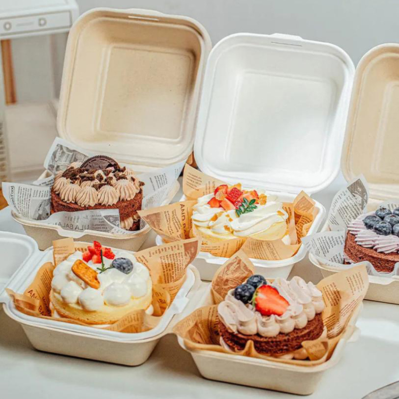 【Nice】10pcs Disposable Bento F - Nice Food Snacks recension och pris