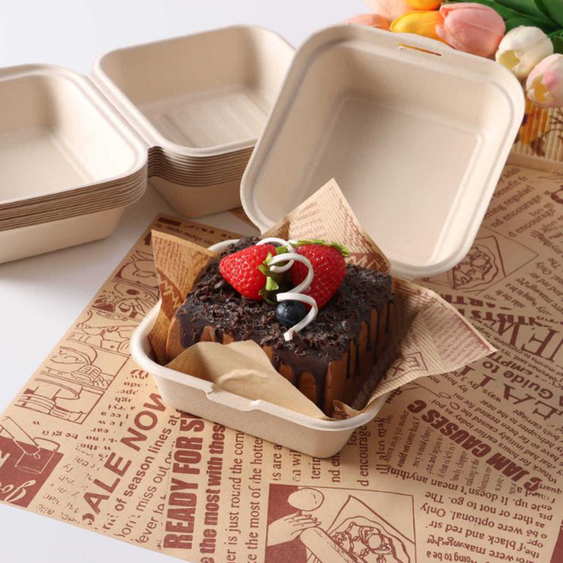 【Nice】10pcs Disposable Bento F - Nice Food Snacks recension och pris